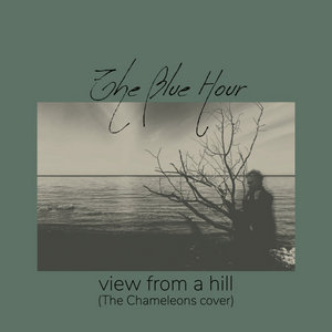 The Blue Hour — View From A Hill