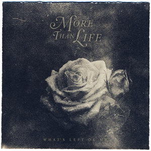 What's Left Of Me cover