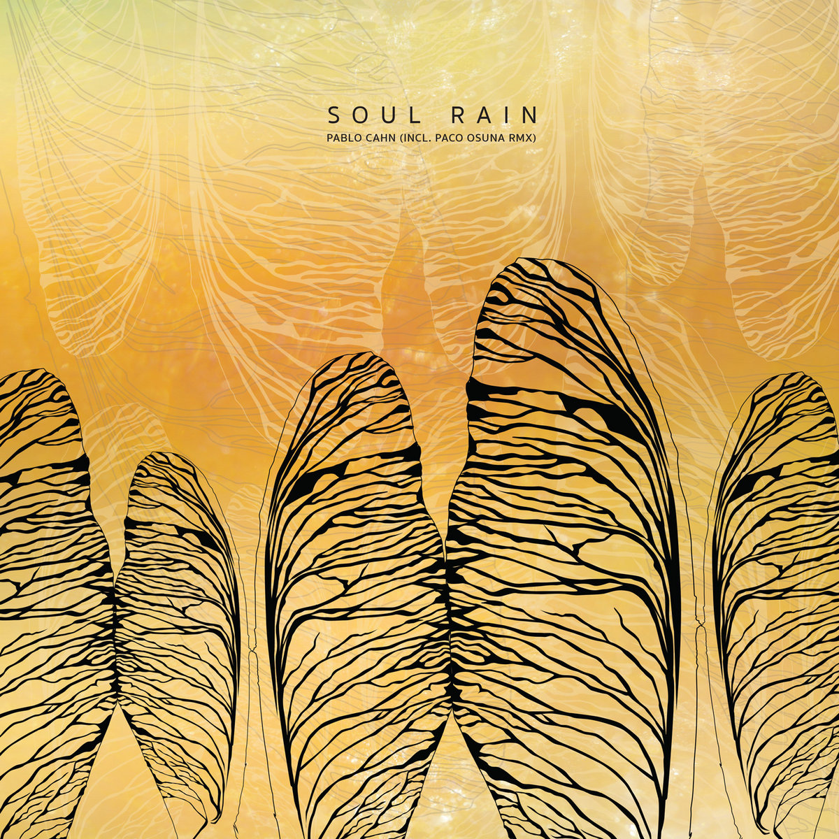 Soul Rain - Pablo Cahn (Incl. Paco Osuna Remix)