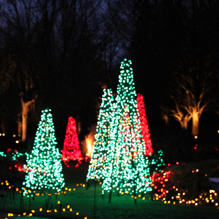 Van Dusen Gardens Christmas Lights Tickets Futuuleki piedawhungfolgsib