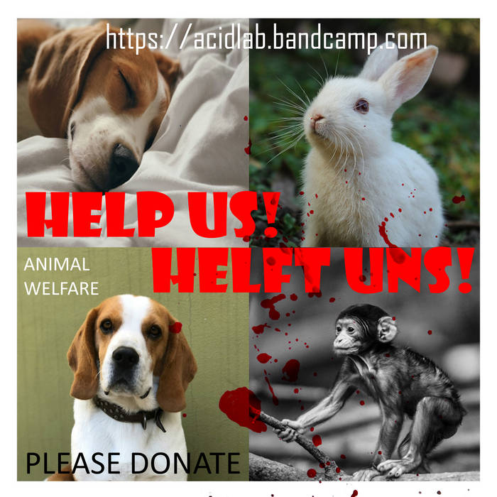 Animal Welfare Compilation (PLEASE DONATE) Acid_Lab Ahmad
