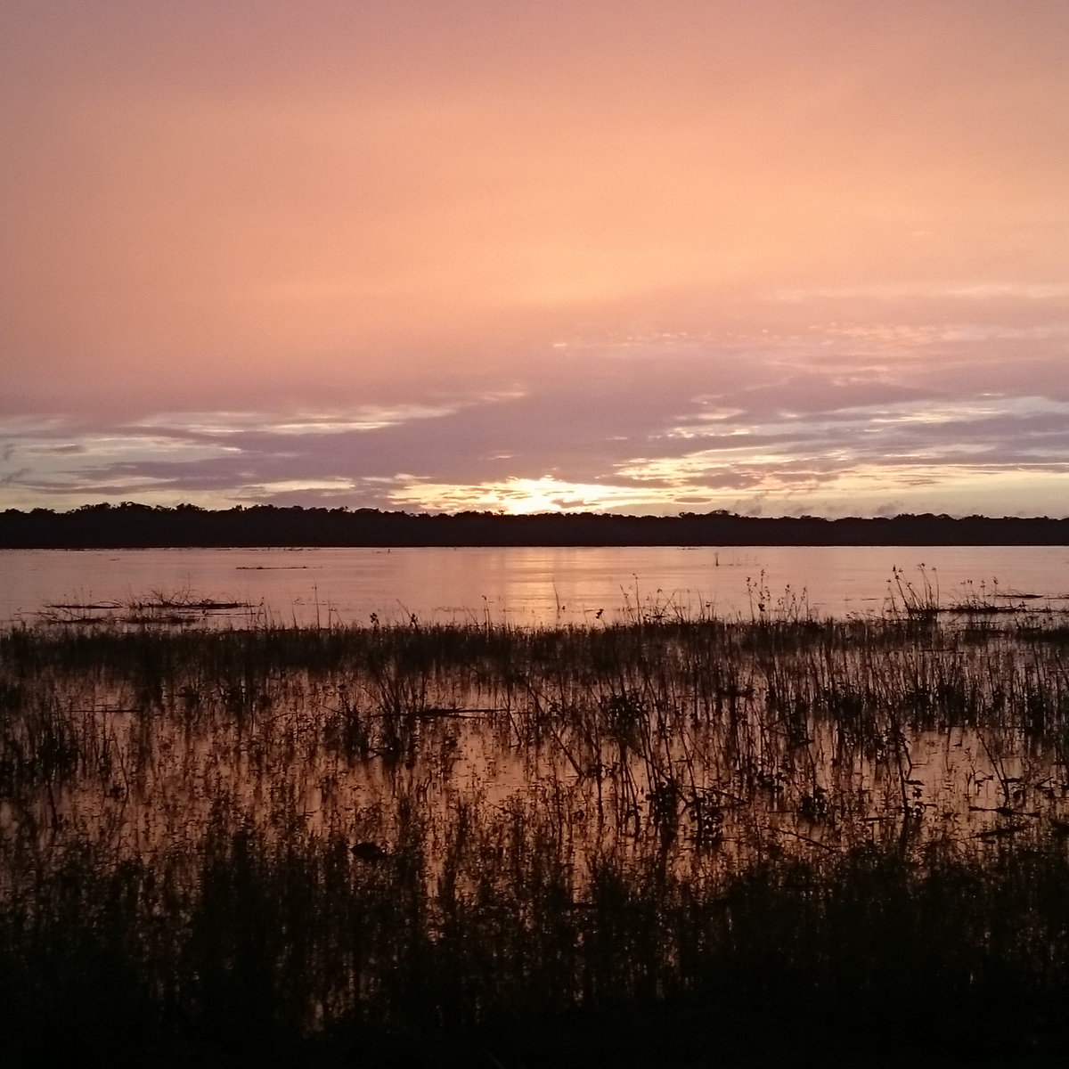 Mondvogel