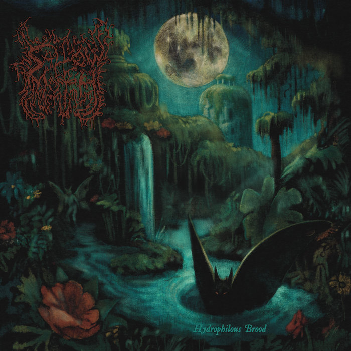 sallowmoth.bandcamp.com