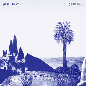 Shambolic - LP - SOLD OUT cover