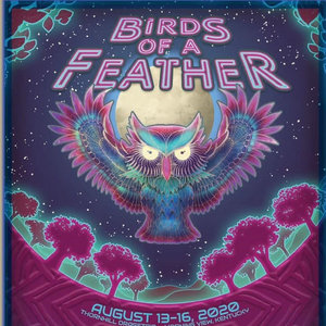 Birds of a Feather cover