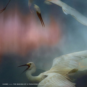 The Making of a Paracosm (Remixes Vol. 2) cover