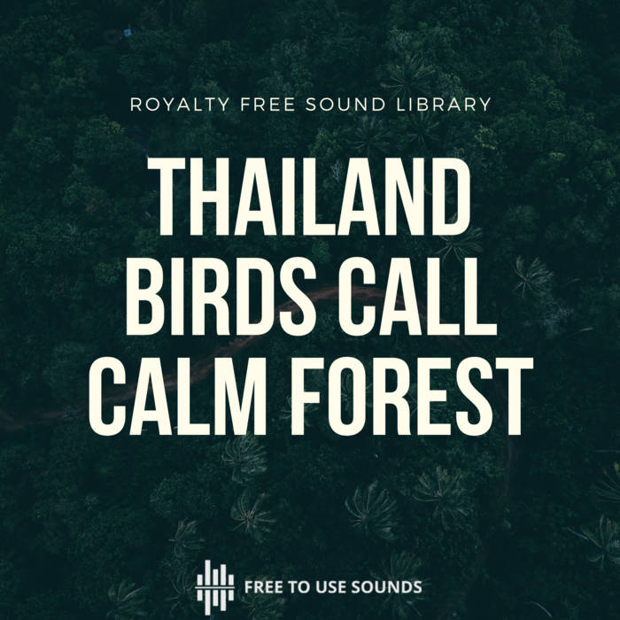TAHI　3x2 nature sound Quiet Forest, Nature, Birds Chirping, Soft Wind In Tree, National