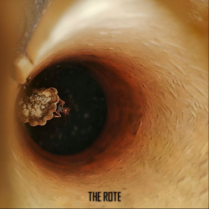 Mary Underwater | The Rote