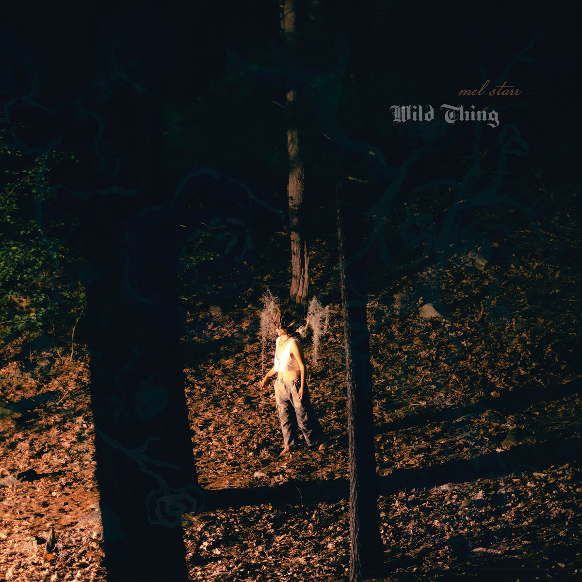 Wild Thing | mel starr