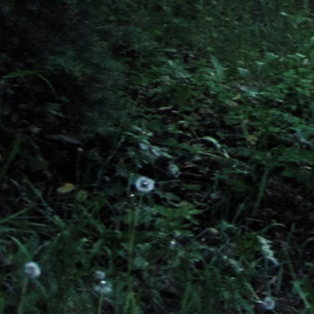 What if it's all True?