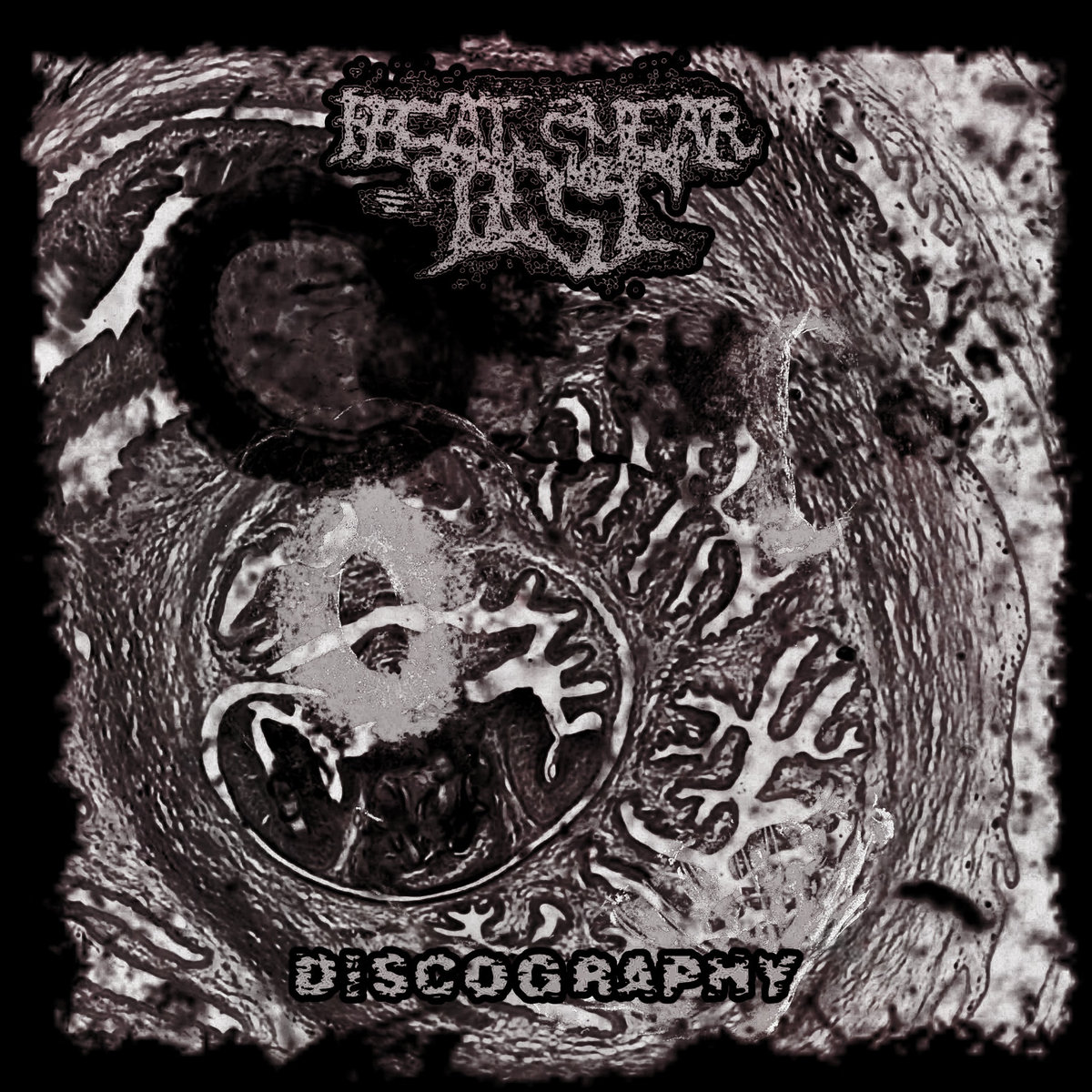 Discography FECAL SMEAR TEST No Physical Productions