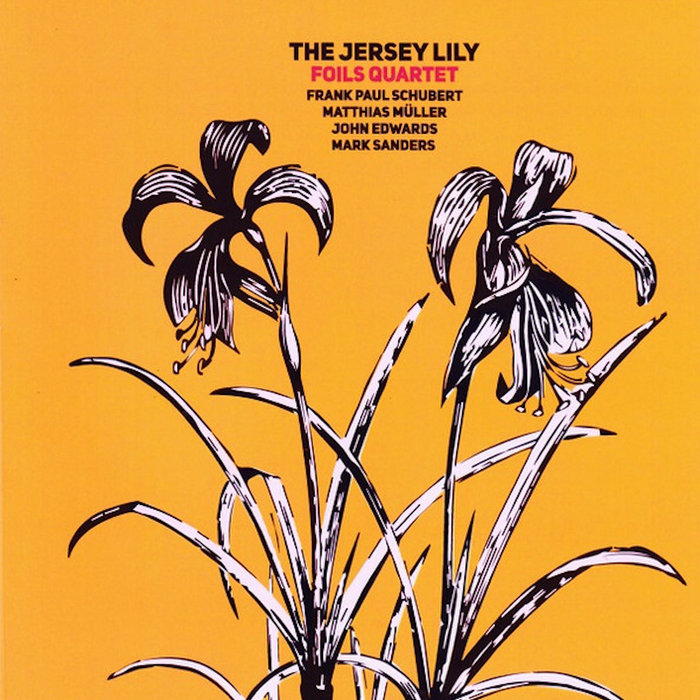The Jersey Lily | Foils Quartet | Creative Sources Recordings