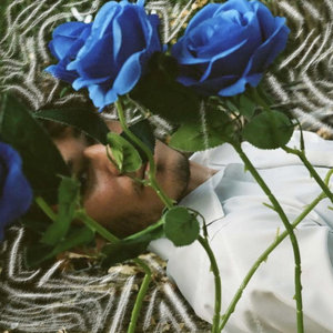 Sultry Have Gone The Roses cover