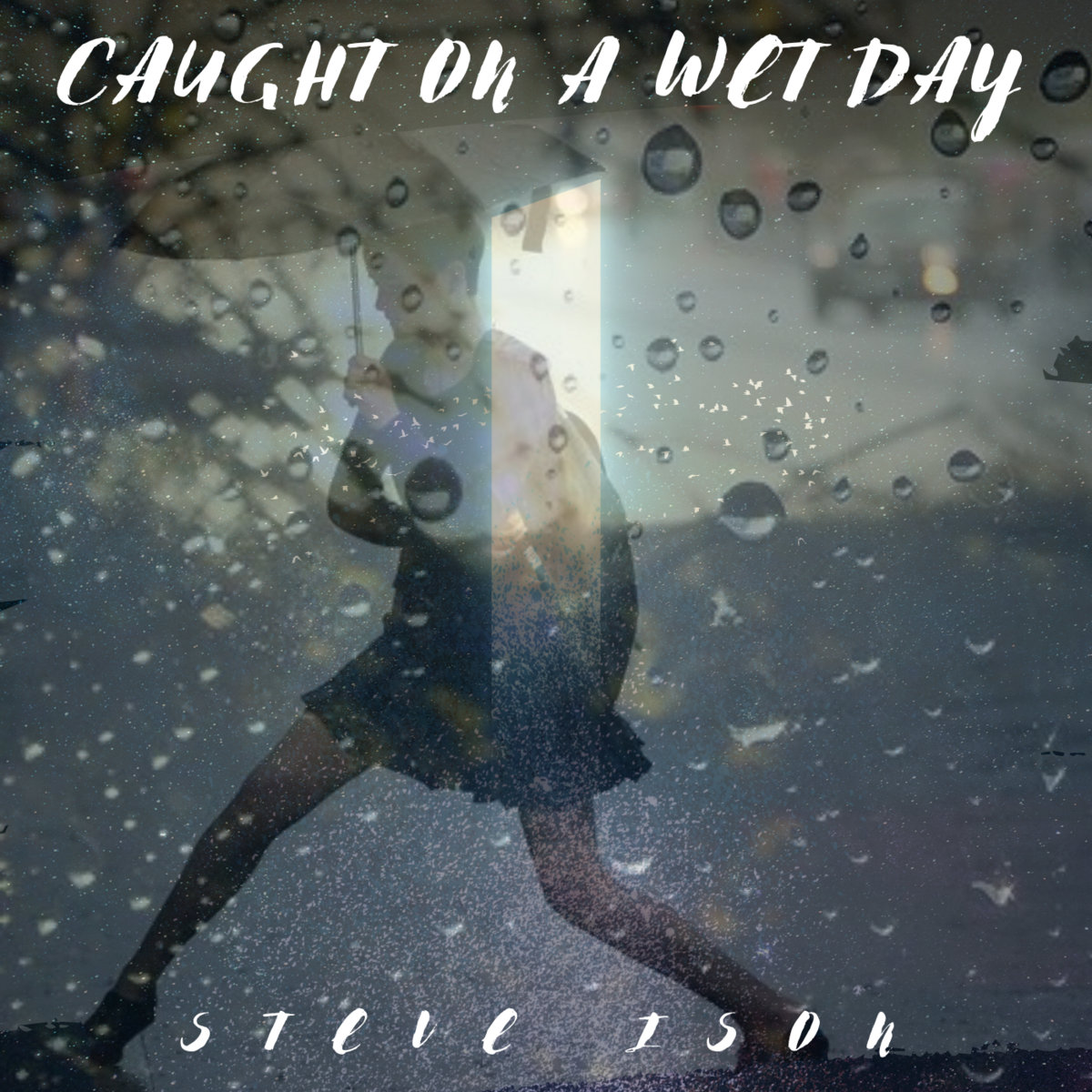 caught-on-a-wet-day-steve-ison