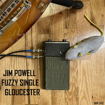 Fuzzy Single Gloucester cover art