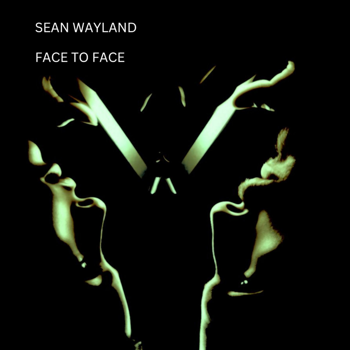 THE FACE VOLUME3 No.12 JUNUARY 1998 貴重 Face to Face | Sean Wayland