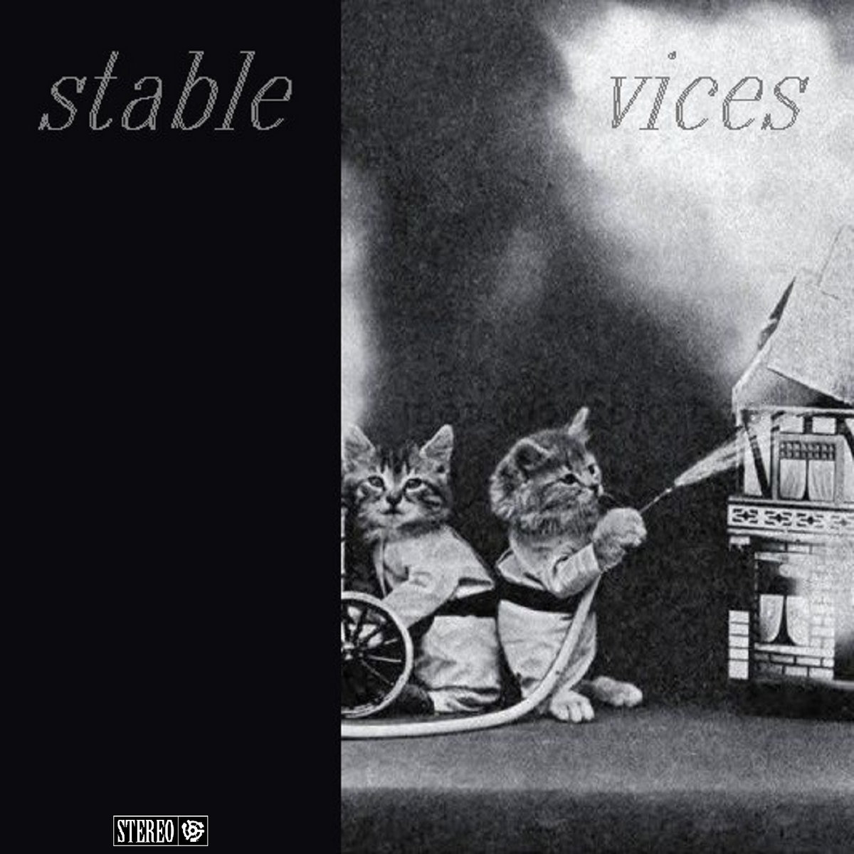 Stable Vices Stable Vices