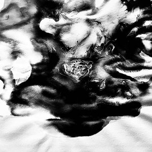 Drips//Drops cover