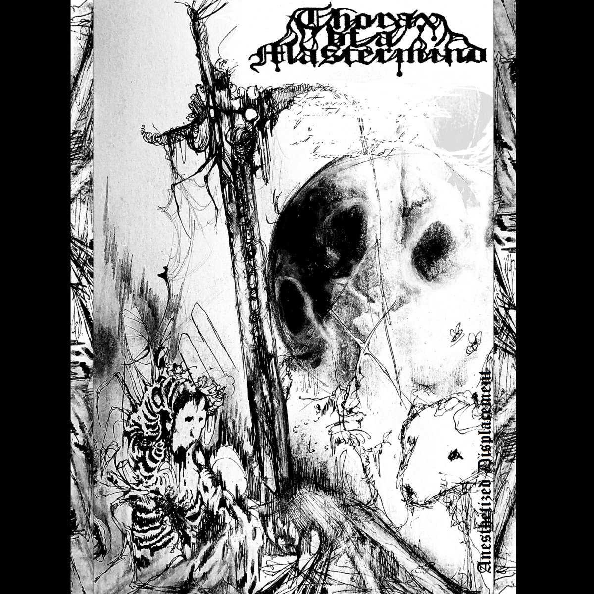 anesthetized-displacement-thorax-of-a-mastermind