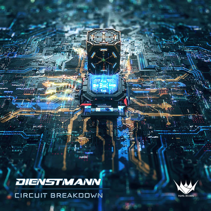 Dienstmann — Circuit Breakdown