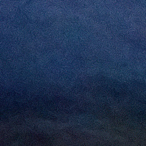 Covert Flight cover