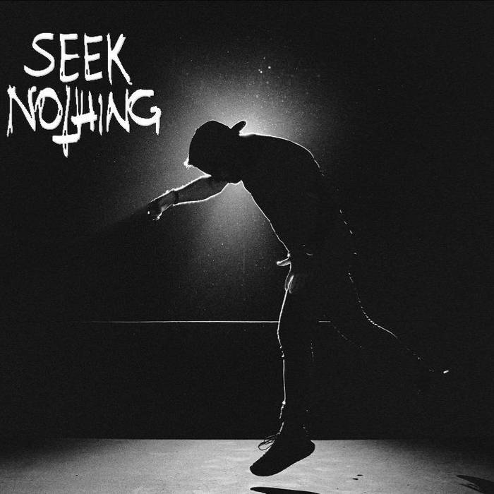 Seek Nothing cover art