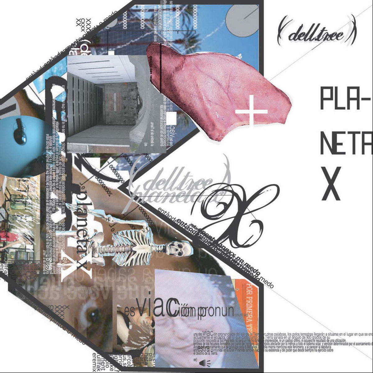[010] Planeta X