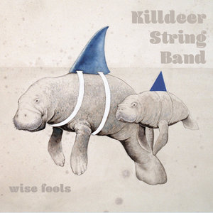 Wise Fools cover