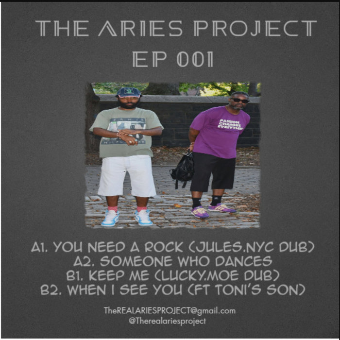 AP 001 | The Aries Project