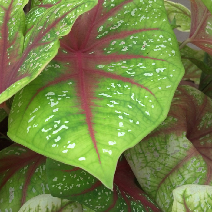 Hd Video Sample Download 1080p Hd Emybirk dwelquiprogunwel