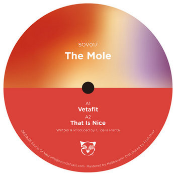 蘭2x12” Red Pig Flower Practice Love SOV023 Sound Of Vast /00500 Red Pig Flower - Practice Love // Sound Of Vast - SOV023