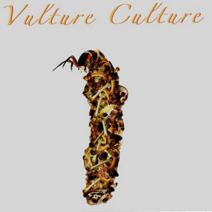 Vulture Culture Ursa Indigo