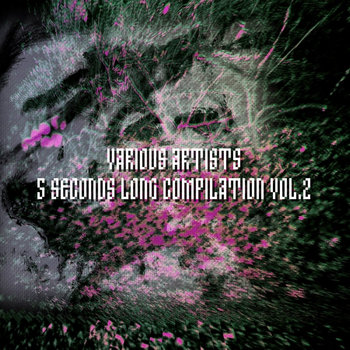 Album artwork for 5 Seconds Long Compilation Vol. 2