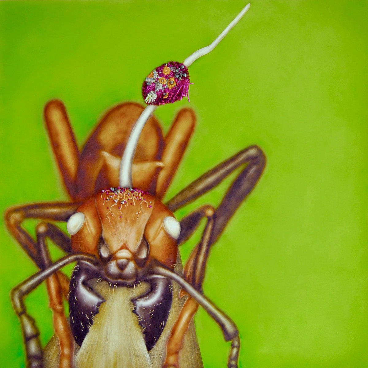 Zombie Ant Fungus | Doozy