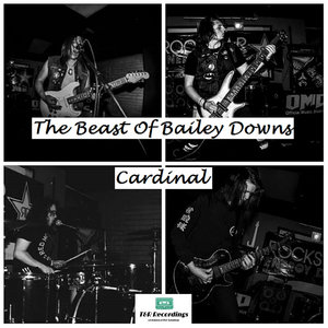 Cardinal (Single) cover