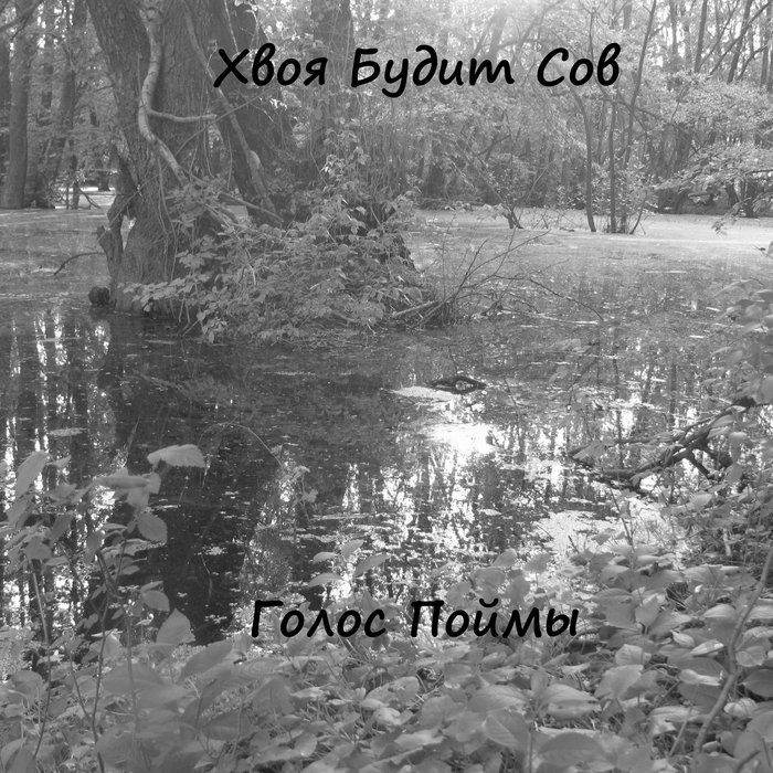 2021 - Голос поймы | Хвоя будить сов