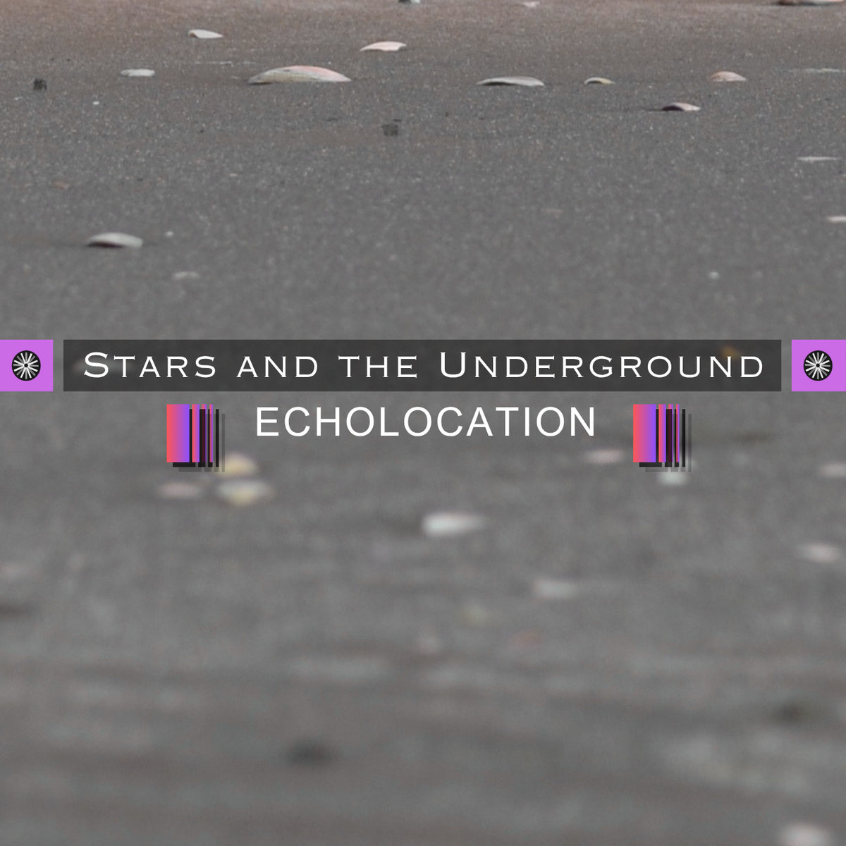 Echolocation Feat Hannah Berry (Talmar) - Single