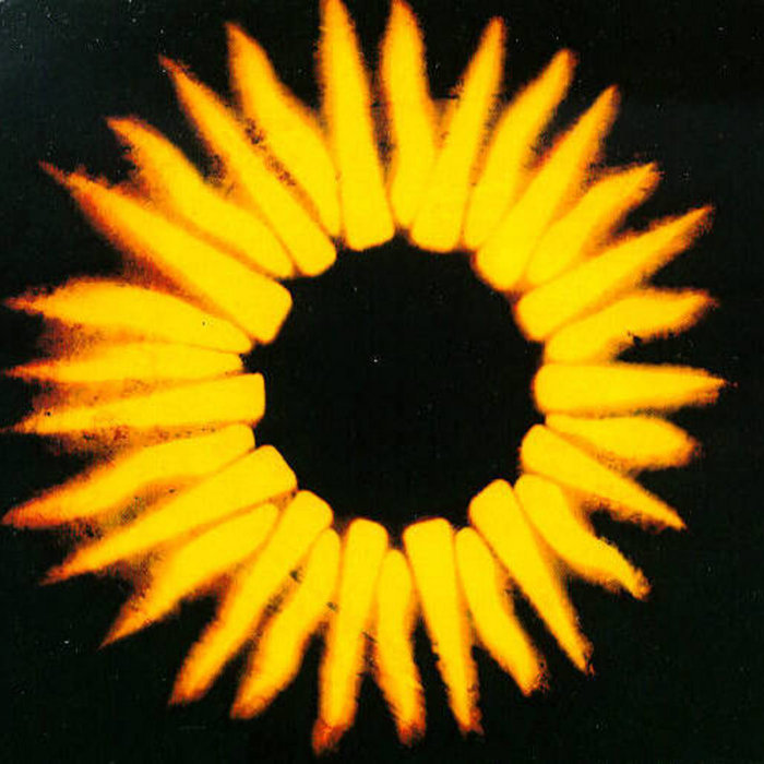 Black Hole Sun Dog black-hole-sun-dog