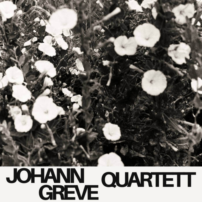 Johann Greve Quartett
von Johann Greve