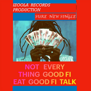 NOT EVERY THING GOOD FI EAT GOOD FI TALK cover