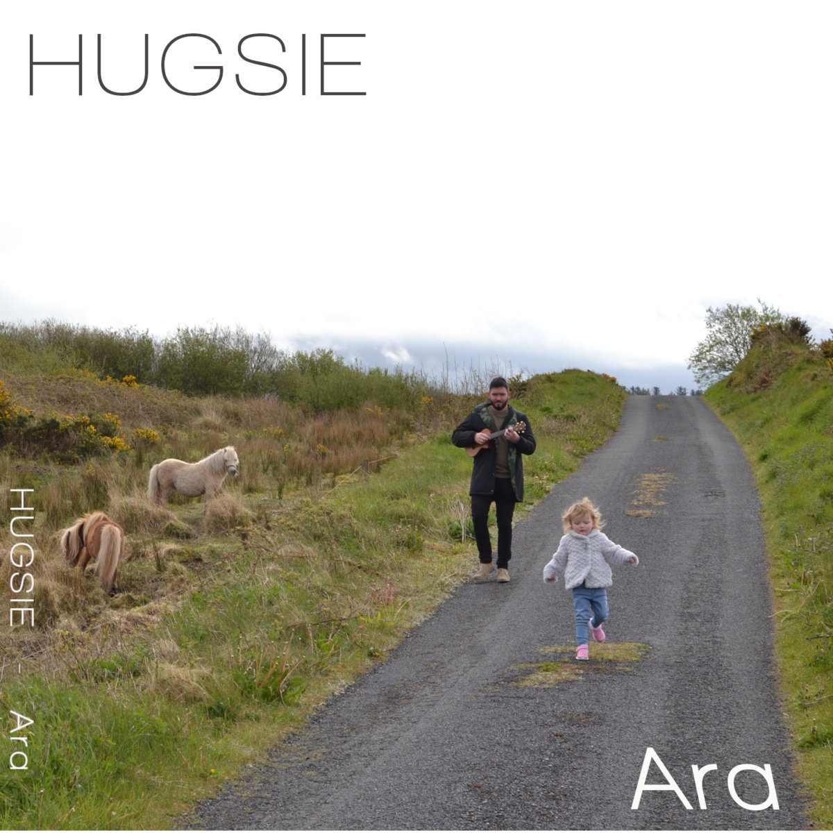 Ara cover