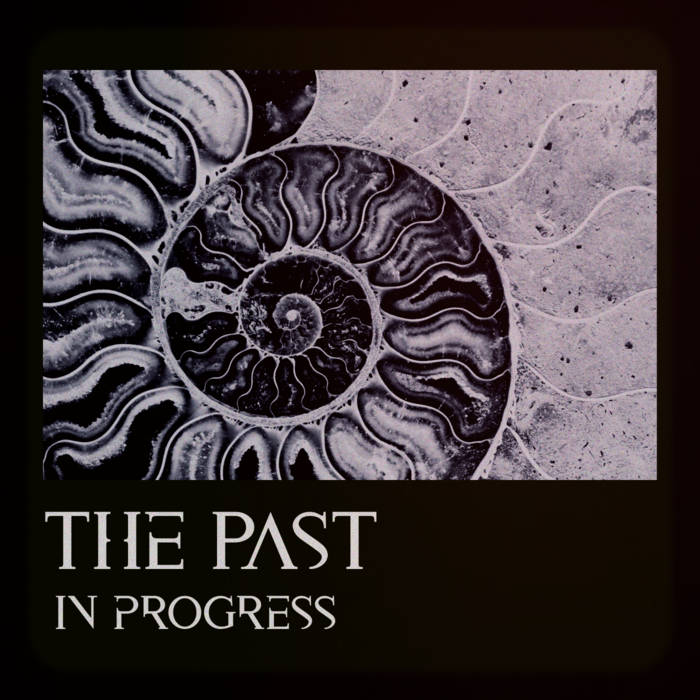 A KIND OF LIKENESS - THE PAST IN PROGRESS album artwork