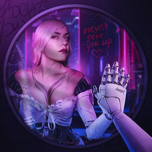 Never Give You Up cover