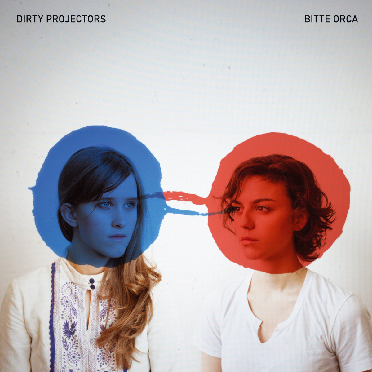 Bitte Orca | Dirty Projectors