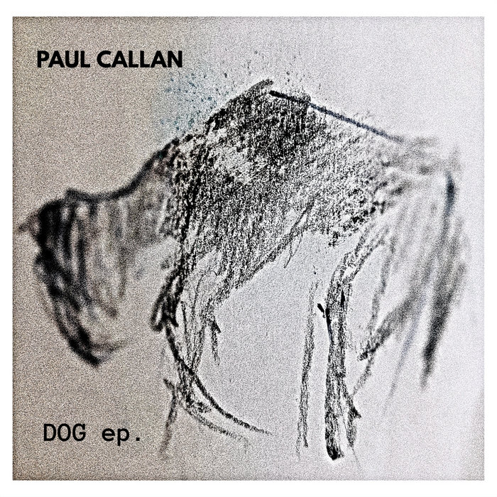 Dog Paul Callan