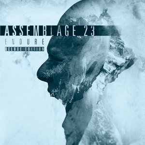 Assemblage 23 — Endure (Deluxe)