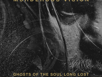 Ghosts Of The Soul Long Lost Volume Four: Live 2002-2025 Listening