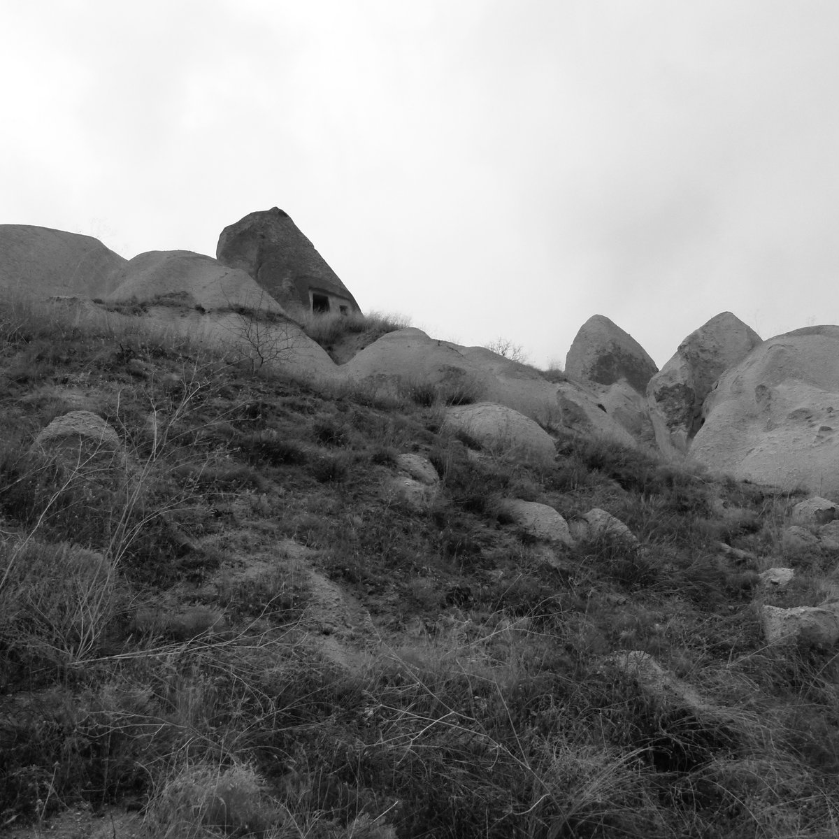 a2382581337_10.jpg