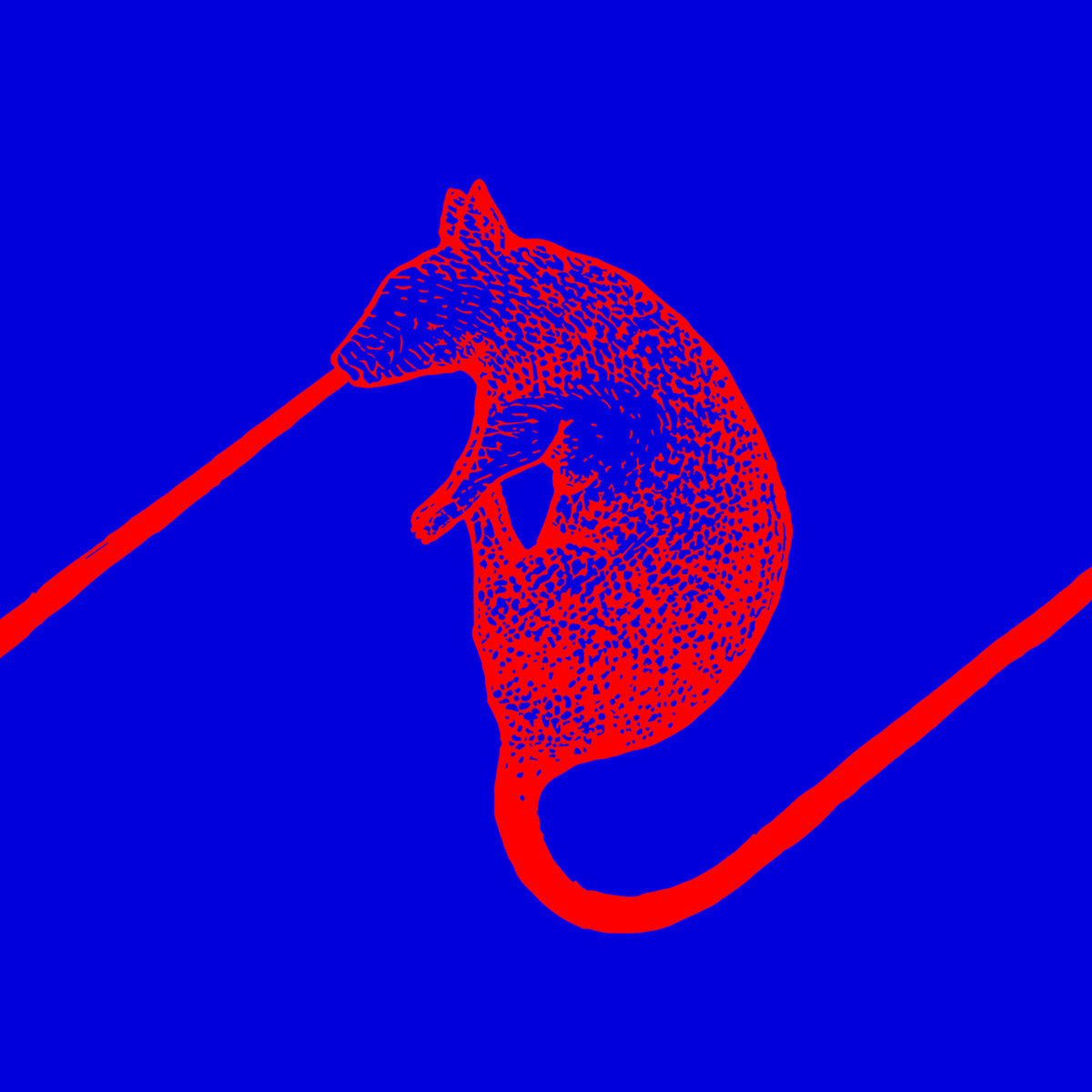 GOGOGO AIRHEART, Rats! Sing! Sing!, Audio CD