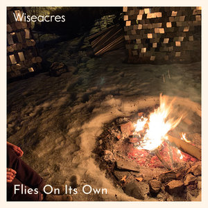 Wiseacres — Flies on Its Own